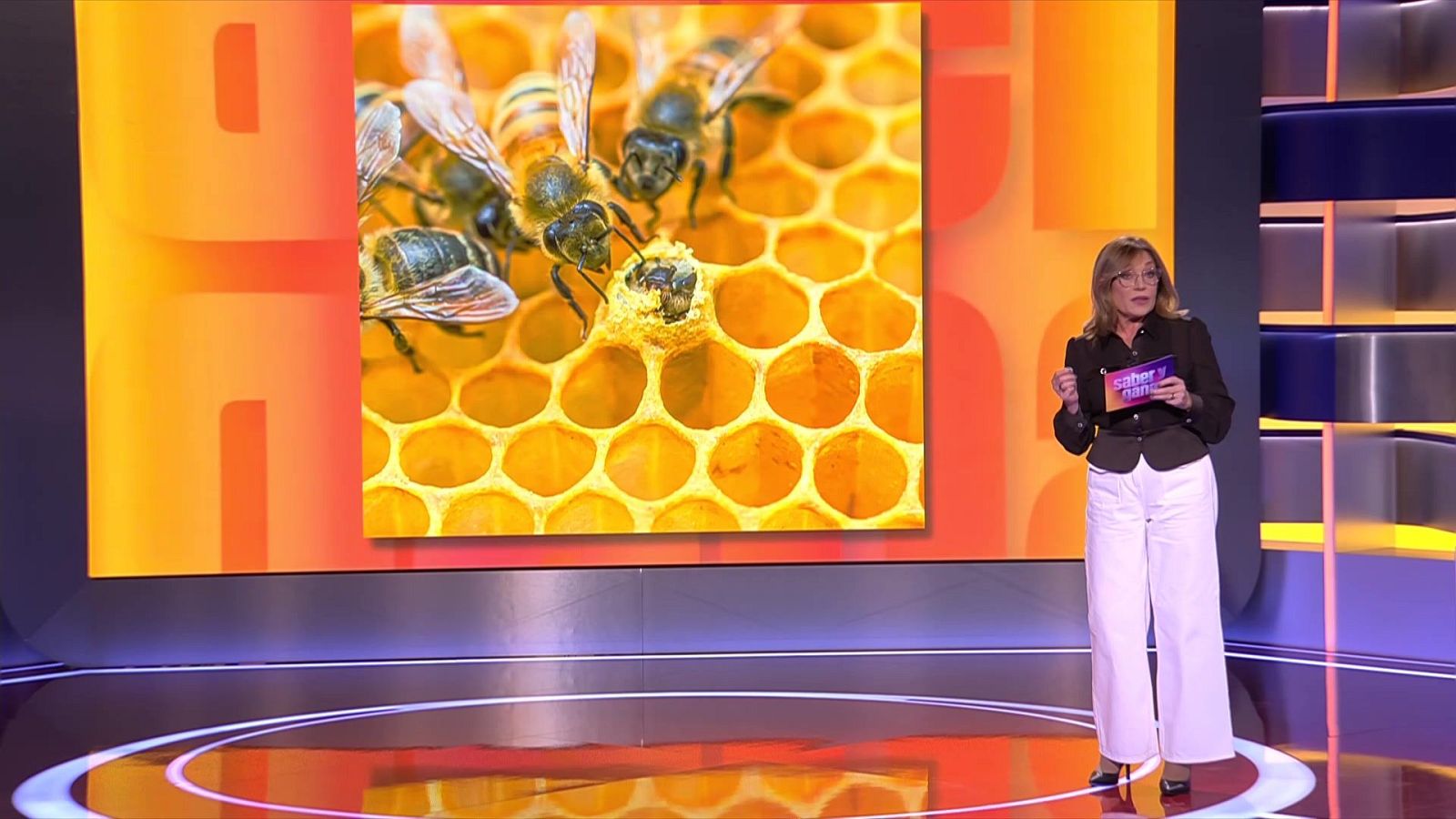 Saber y ganar - 05/12/25 - Saber y ganar | Ver