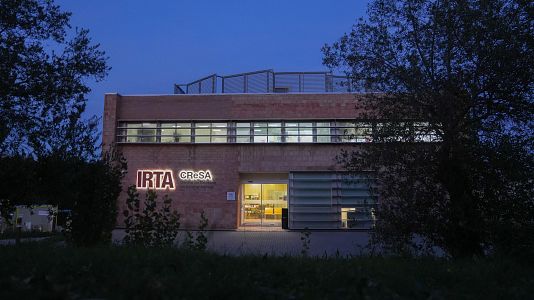 Agricultura investiga si el brote de peste porcina se origin en un laboratorio