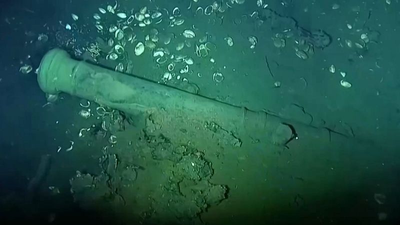 La extracción del pecio del galeón San José muestra sus primeros tesoros | Ver
