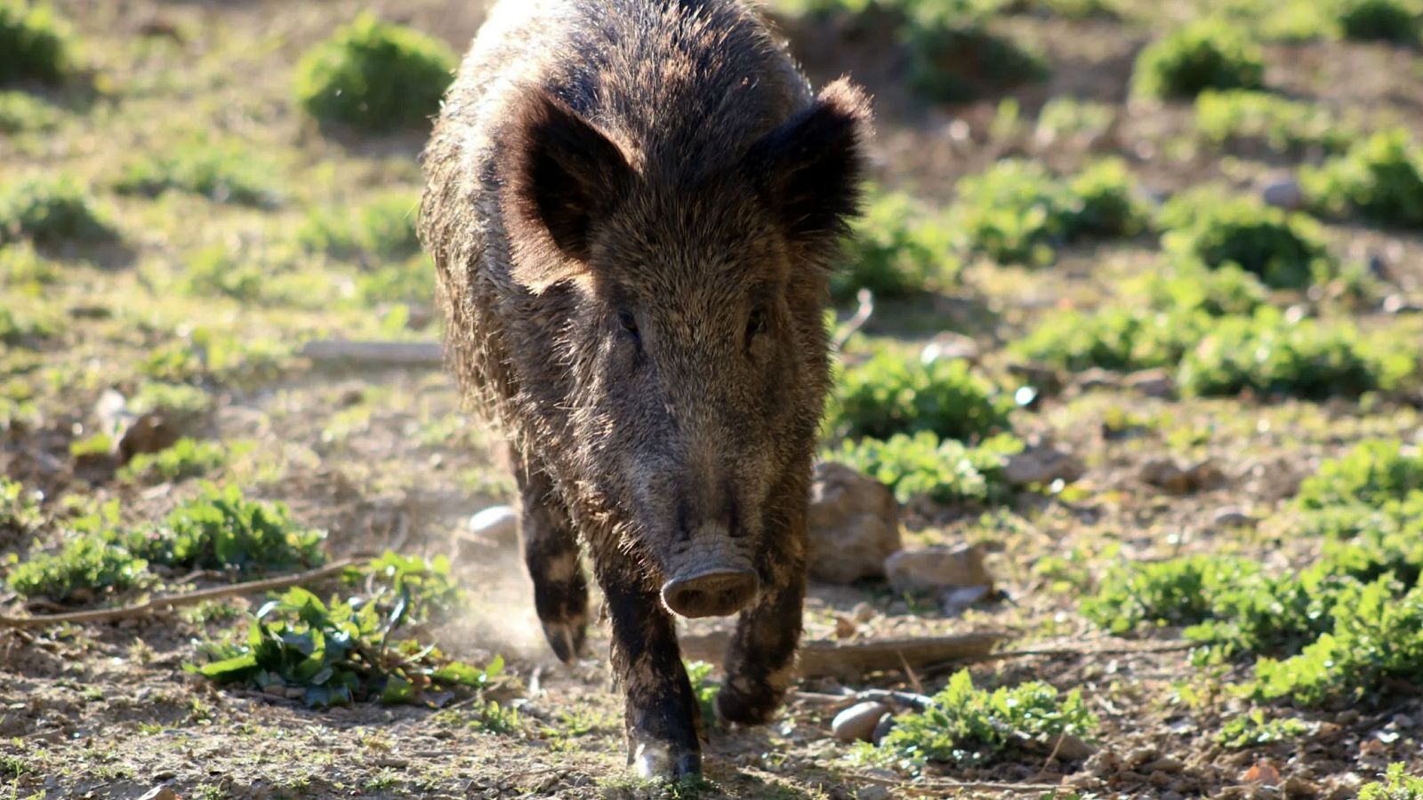 Telediario matinal en cuatro minutos - 06/12/2025 | Ver