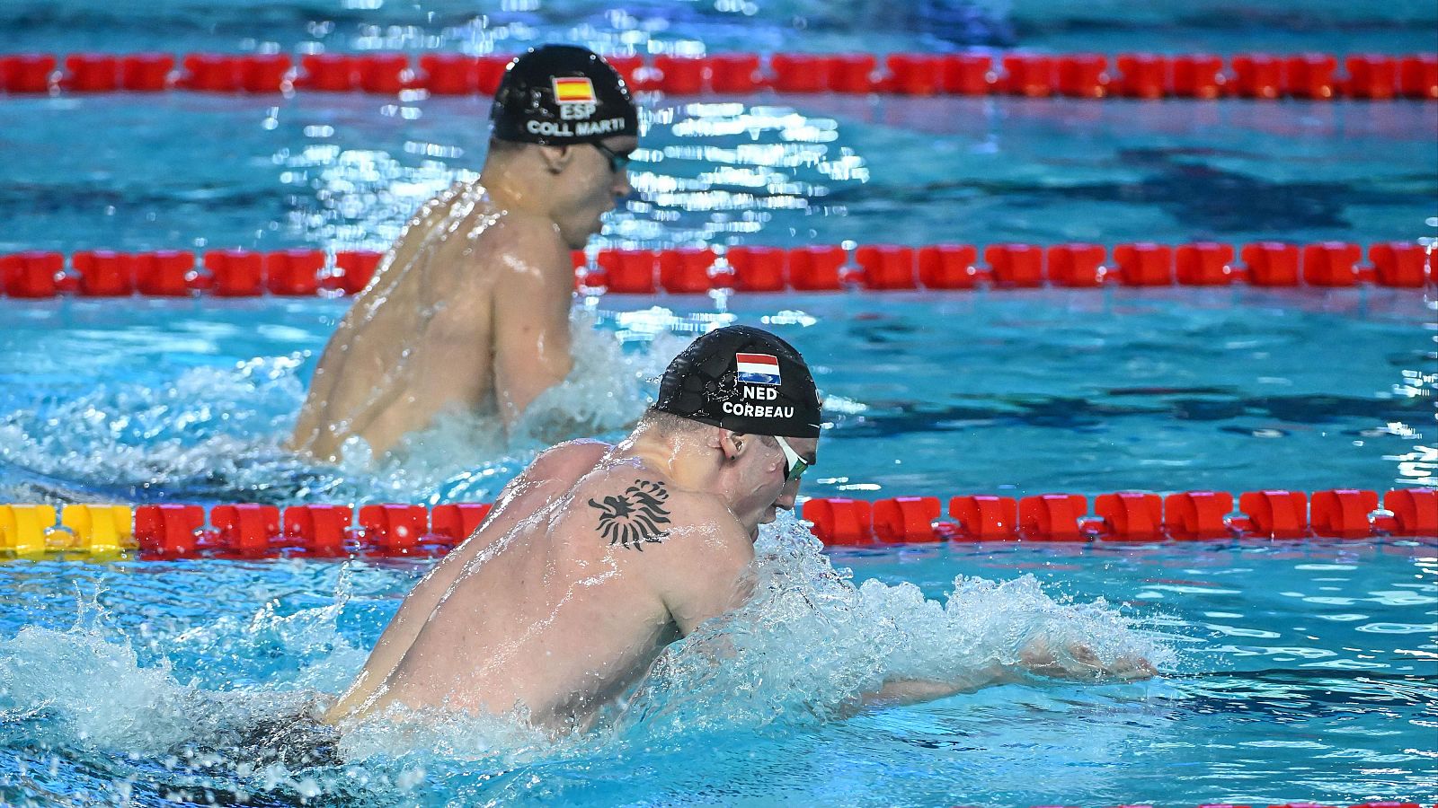 Natación - Campeonato de Europa de piscina corta. Sesión vespertina. Semifinales y Finales - Natación | Ver
