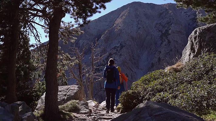 El escarabajo verde - La fiebre de la montaña