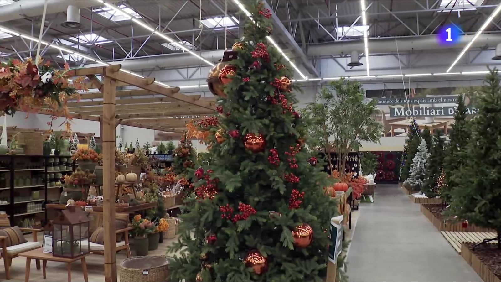 Arbres de Nadal de diversa procedència