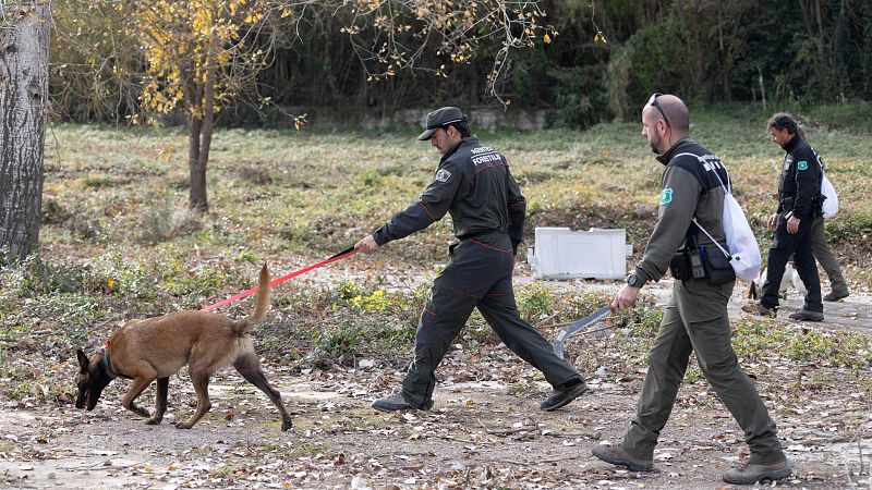Perros adiestrados y drones: as� rastrean los Agentes Rurales la zona de la peste porcina africana