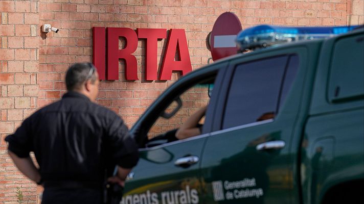 El mundo en 24 horas - Peste porcina africana: conformado el grupo de expertos del comité científico que abordará el origen del brote