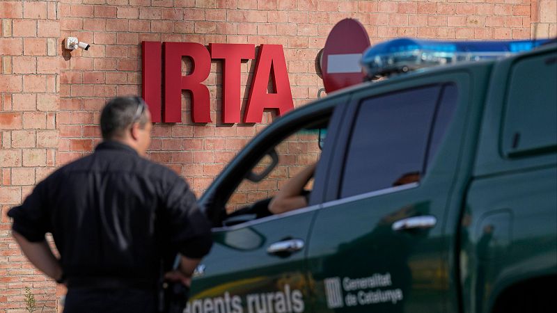 Peste porcina africana: conformado el grupo de expertos del comité científico que abordará el origen del brote - El mundo en 24 horas | Ver