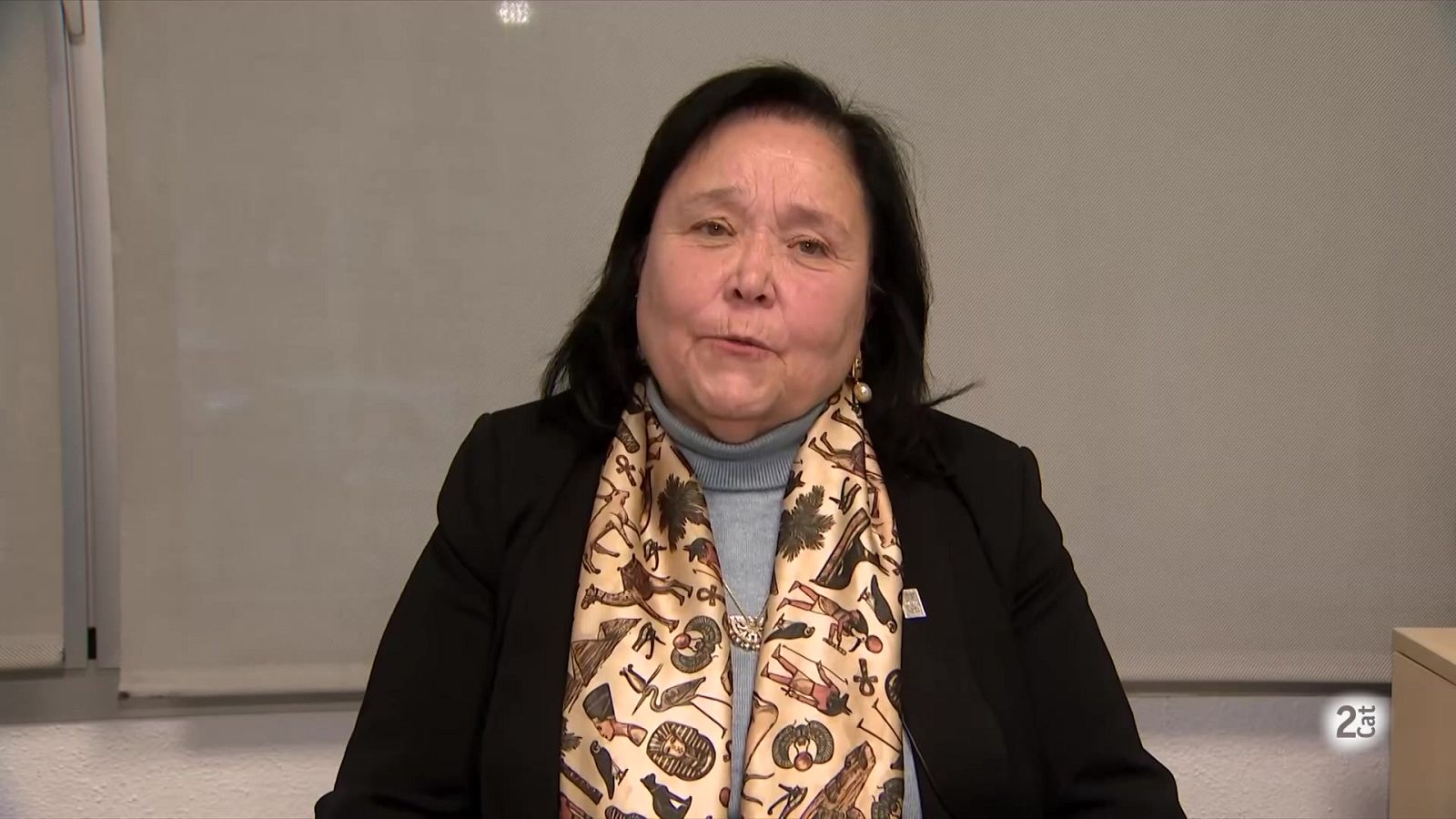 L'Acadèmia de Ciències Veterinàries no descarta cap origen del brot de PPA