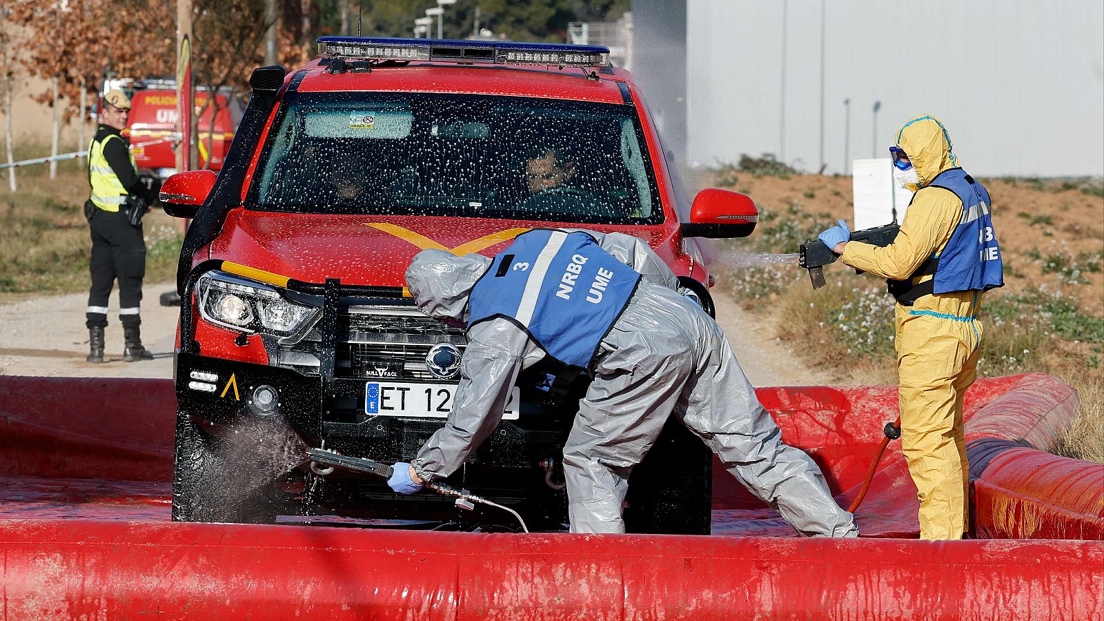 Pérdidas en el sector ganadero por la peste porcina africana | Ver