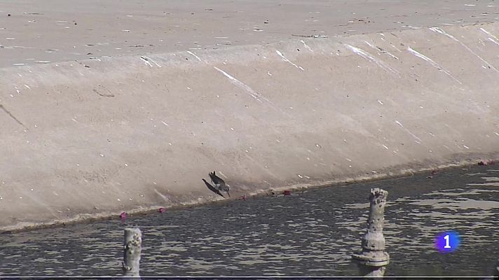 Noticias de Melilla - La Noticia de Melilla - 09/12/2025