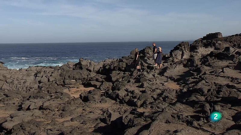 Telecanarias Tarde - 09/12/2025 | Ver