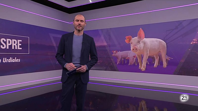El Vespre - 09/12/2025