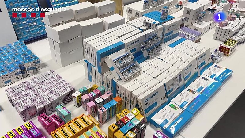 Desarticulada una xarxa internacional de tràfic de medicaments il·legals