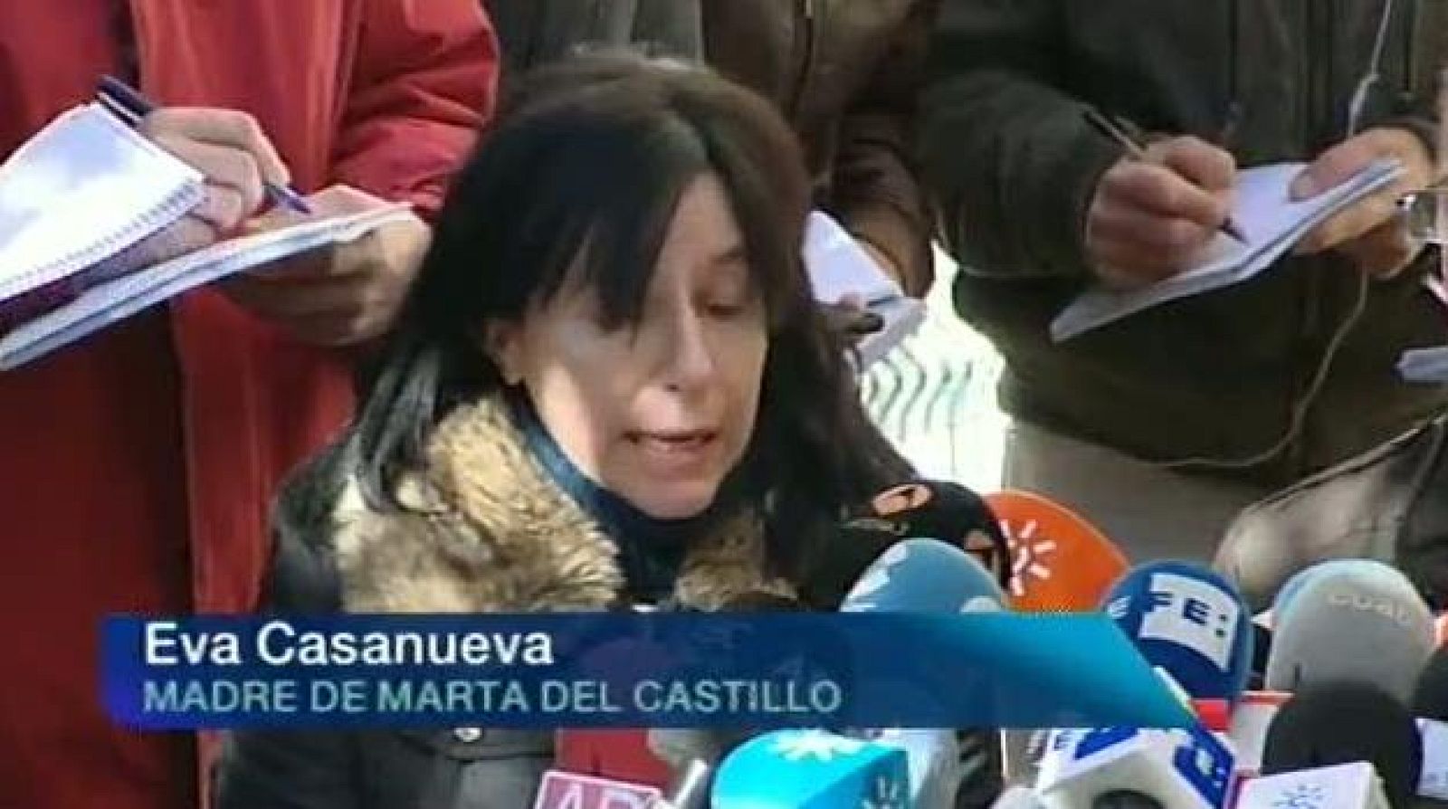 Andalucía en 2' - 07/02/2013 | Ver