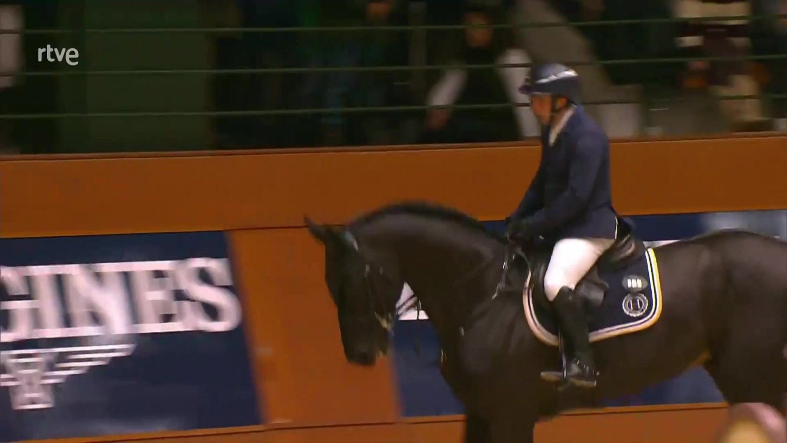 Hípica - Concurso de saltos CSI Casas Novas. GP Copa del Mundo - Hípica | Ver