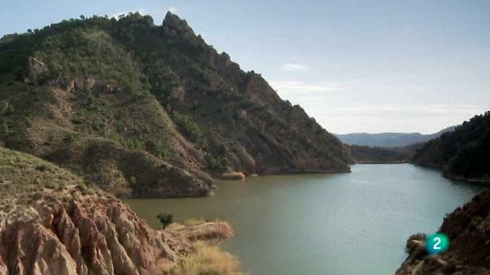 Biodiario - Biodiario - 07/02/13