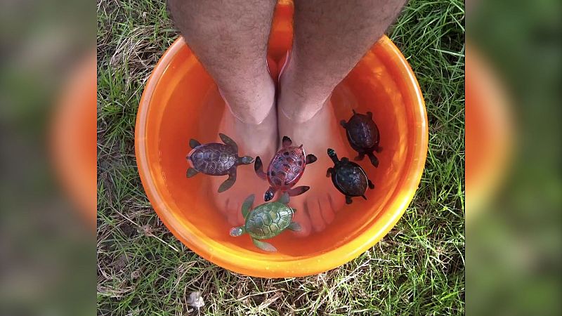 Boek Visual: José Eugenio Mañas | Ver