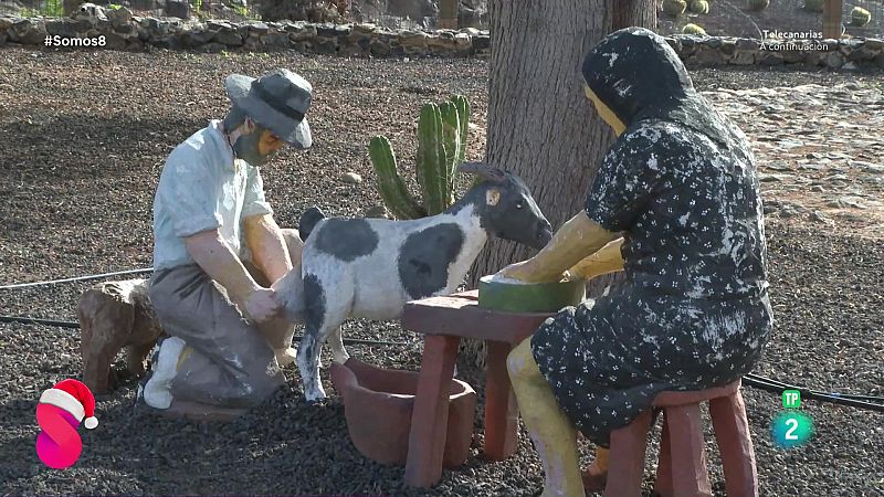 Somos 8 - 11/12/2025 - Somos 8 | Ver