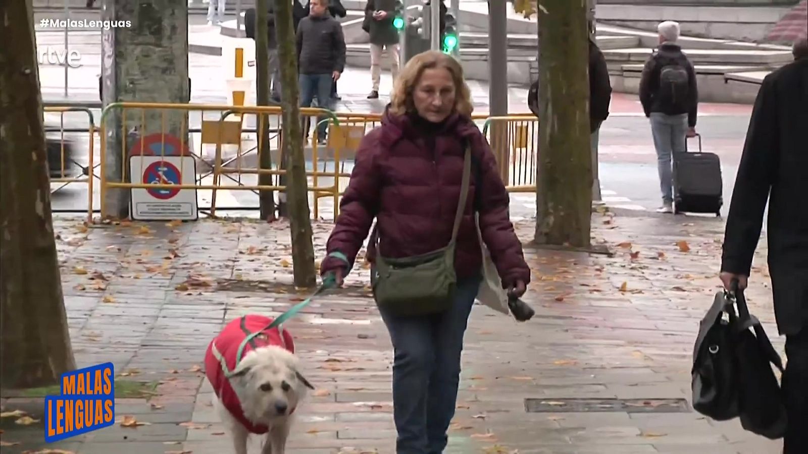 ¿Qué pasa con la custodia de las mascotas? - Malas lenguas | Ver