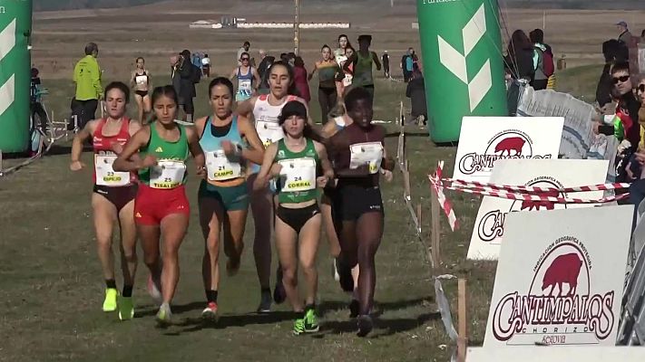 Cross - Cross de Cantimpalos