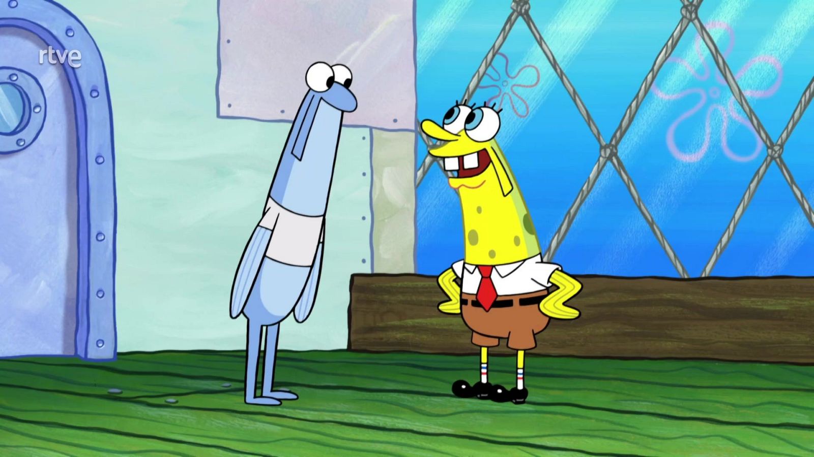 Esponjianchoa - Bob Esponja | Ver