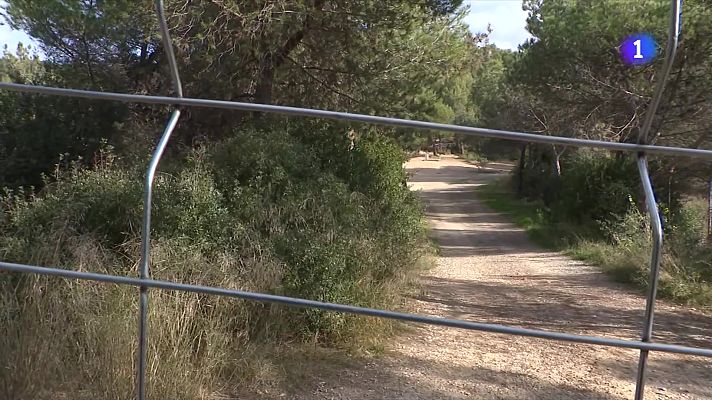 L'Informatiu - Agents Rurals tanquen el primer radi per frenar la Pesta Porcina Africana