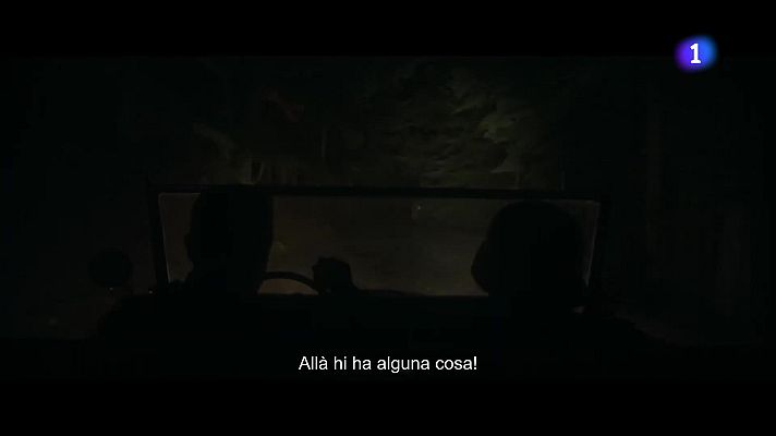 L'Informatiu - La història dels passadors de Pallars, ja al cinema