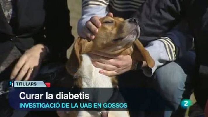 L'Informatiu - L'Informatiu vespre - 8/02/2013