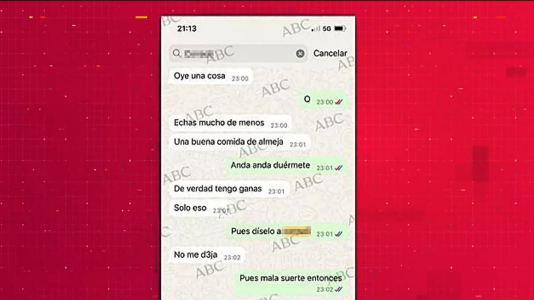 El PSOE investiga denuncias de acoso sexual contra su vicesecretario en Valencia y el alcalde de Belalc�zar (C�rdoba)