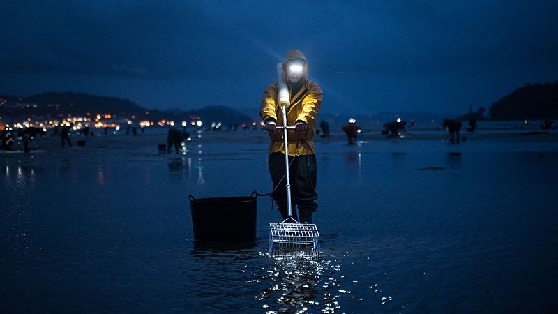 El precio de los pescados y mariscos se disparan en noviembre de cara a las fiestas navideñas
