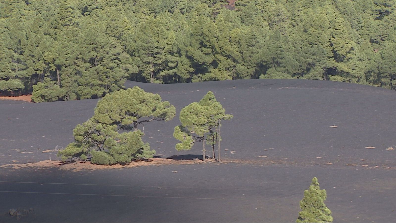 Agrosfera - 13/12/25 - Agrosfera | Ver