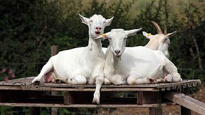 Para todos La 2 - 13/12/25