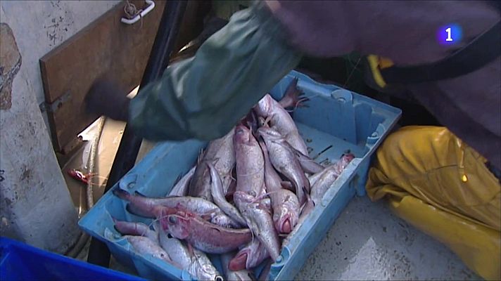 L'Informatiu - Els pescadors catalans podran sortir a treballar 143 dies l'any vinent