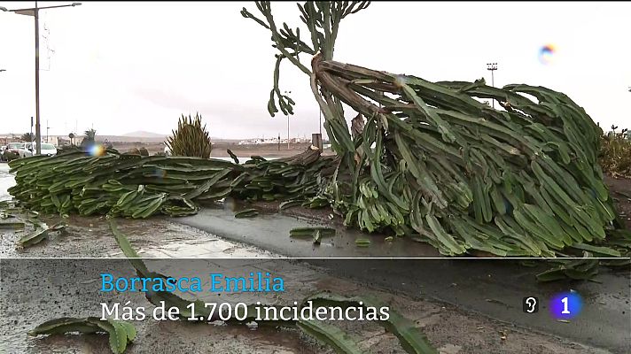 Telecanarias - Telecanarias - 14/12/2025