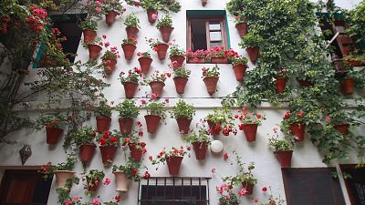 Los patios de C�rdoba abren sus puertas por Navidad - Telediario Fin de Semana | Ver