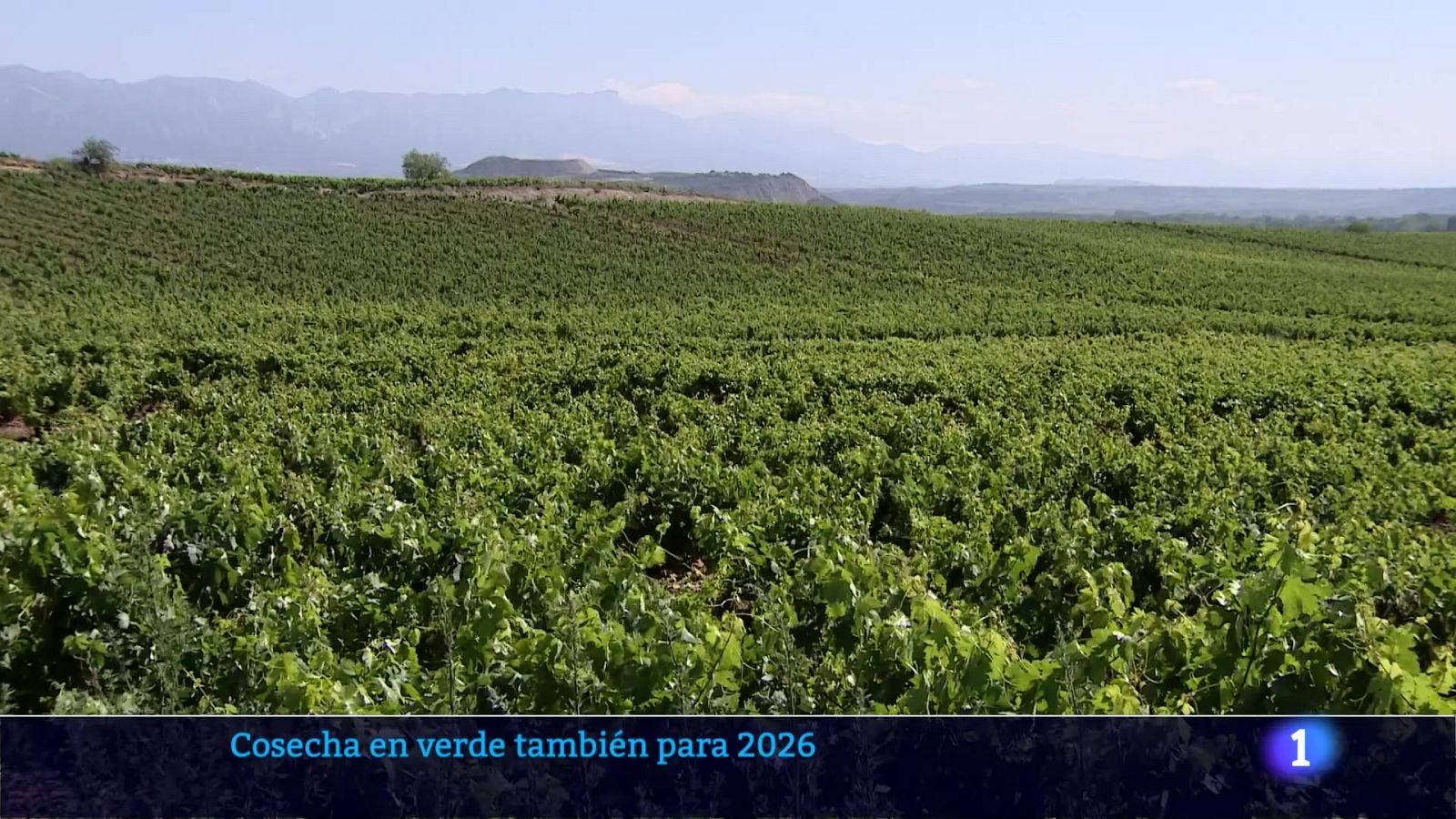 Informativo Telerioja 2 - 15-12-2025 - Ver ahora | Ver