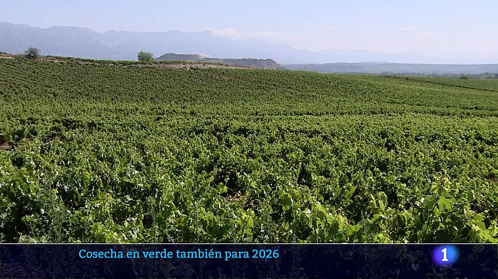 Informativo Telerioja - Informativo Telerioja 2 - 15-12-2025 - Ver ahora