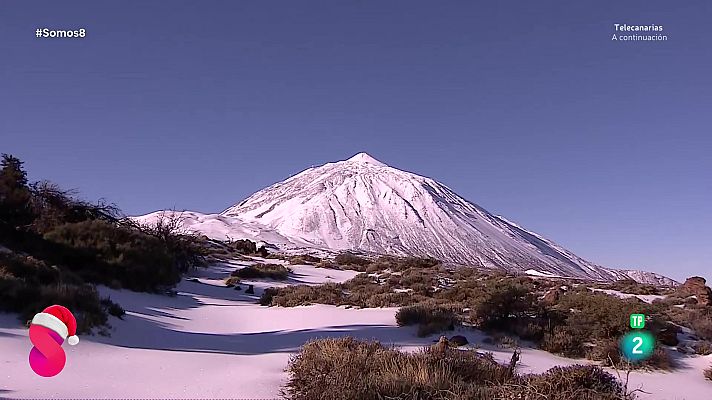 Somos 8 - Somos 8 - 15/12/2025