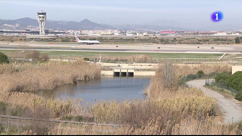 Ecologistes i pagesos discrepen sobre la protecció de les aus al Parc Agrari del Llobregat