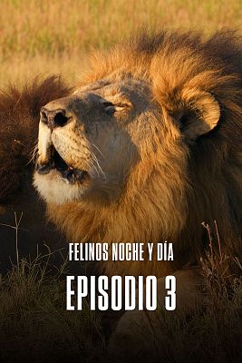 Episodio 3