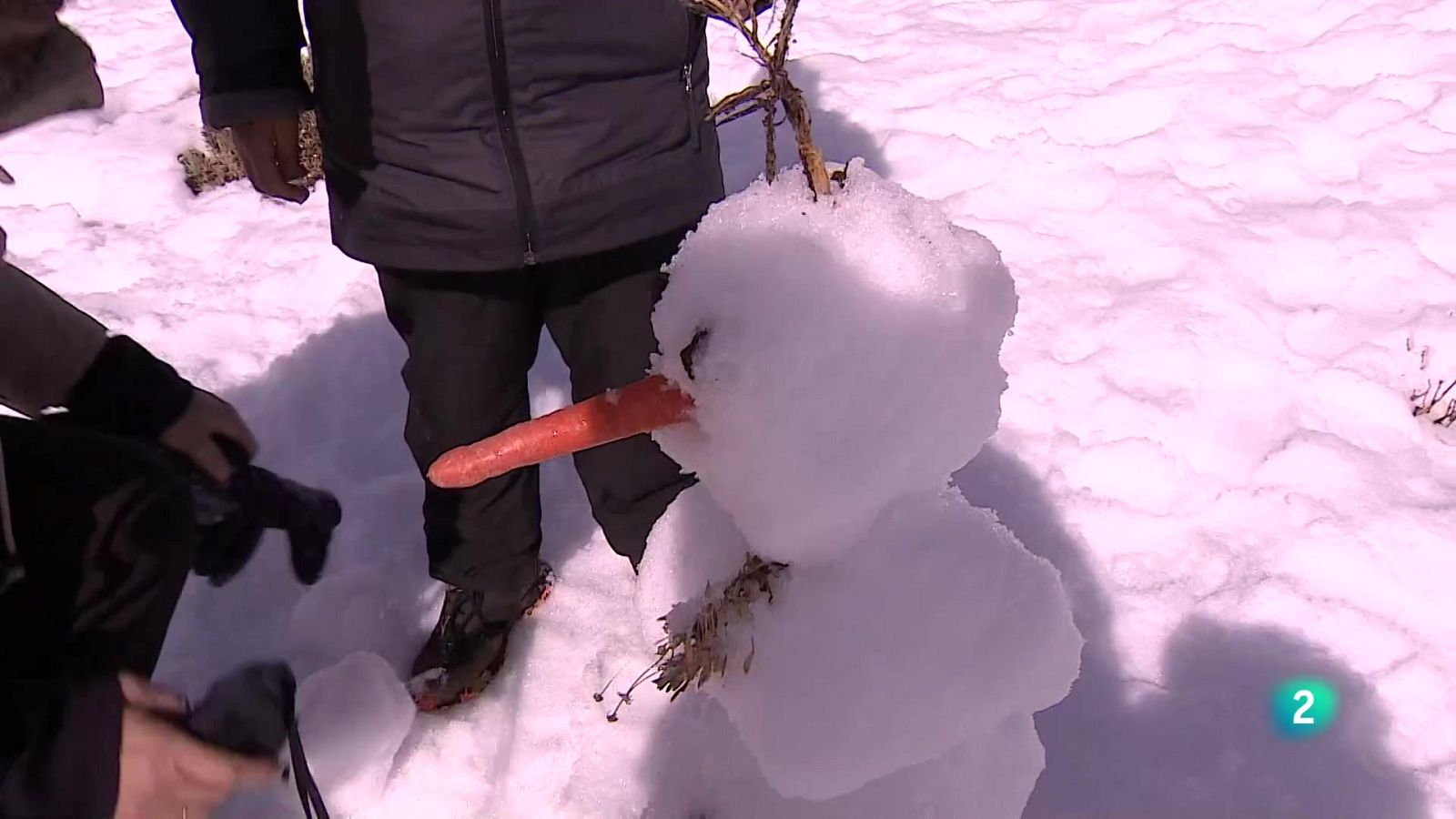 Telecanarias tarde - 16/12/2025 | Ver