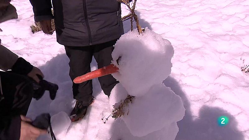 Telecanarias tarde - 16/12/2025 | Ver