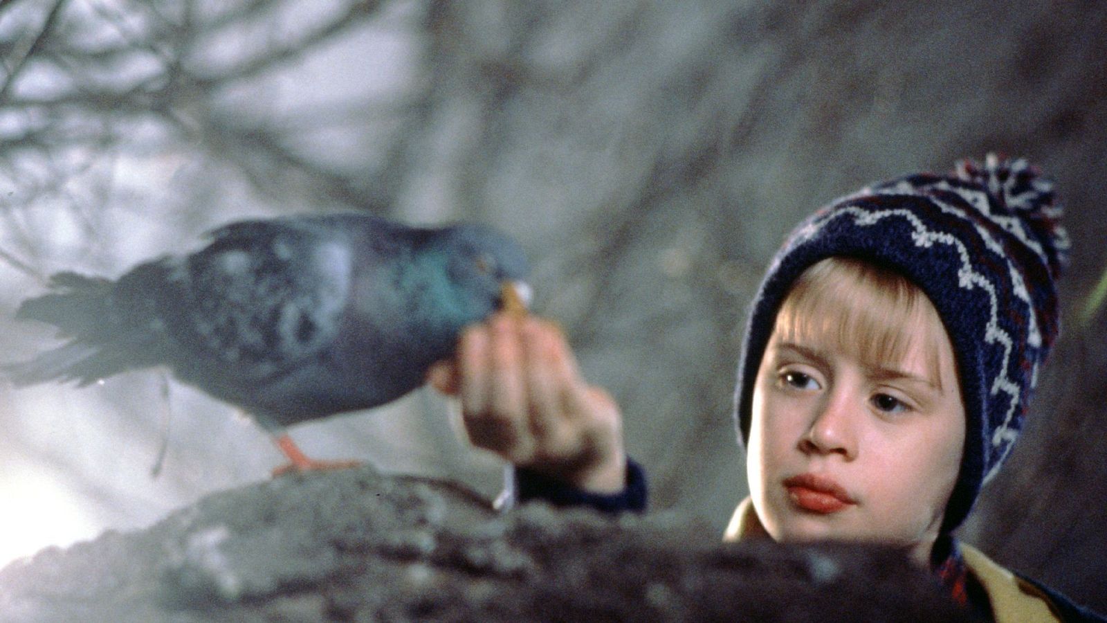 Solo en casa 2. Perdido en Nueva York | Ver películas gratis en RTVE Play - Cine de siempre | Ver película