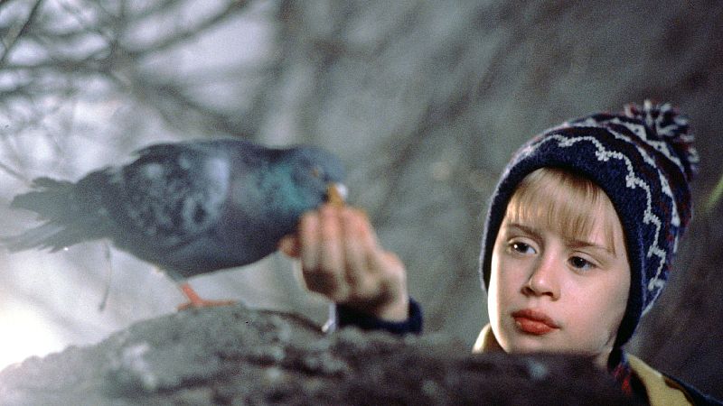 Solo en casa 2. Perdido en Nueva York | Ver películas gratis en RTVE Play - Cine de siempre | Ver película