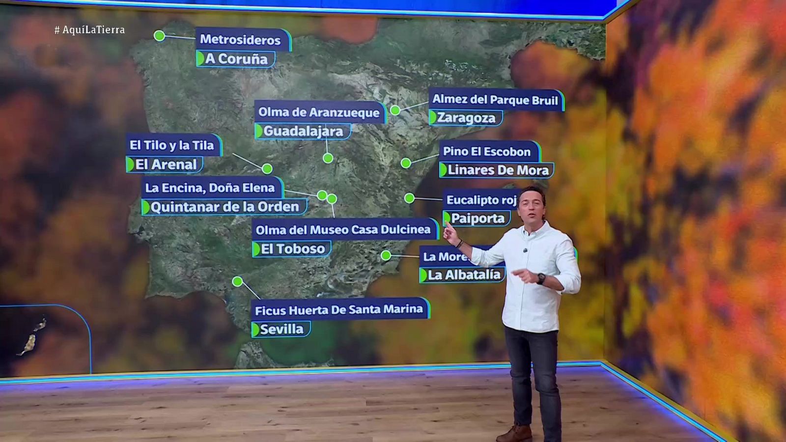 Aquí la Tierra - 17/12/25 - Aquí la Tierra | Ver