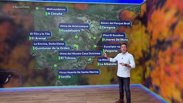 Aquí la Tierra - Aquí la Tierra - 17/12/25