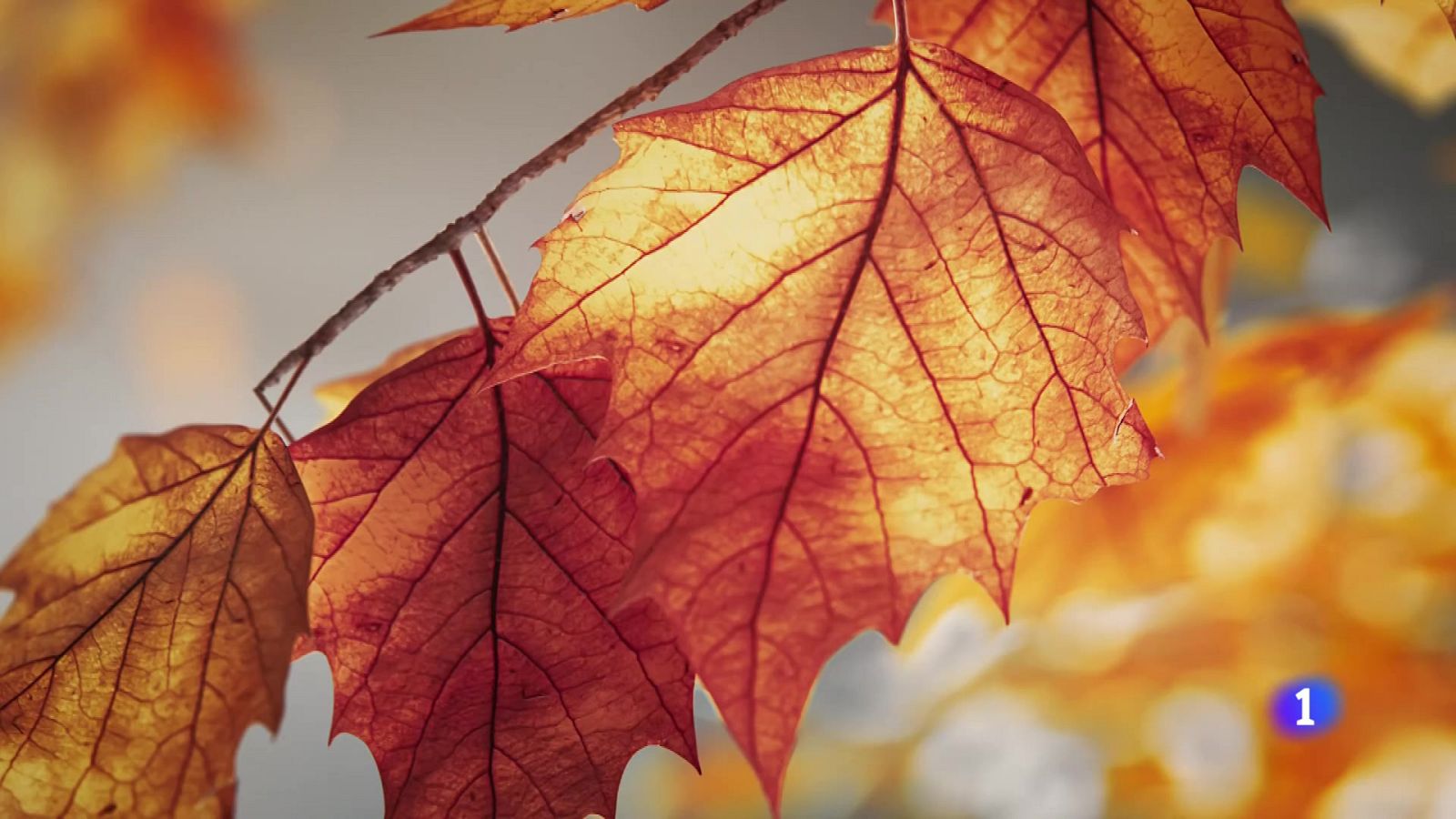 El tiempo en Galicia 12-12-2025 | Ver