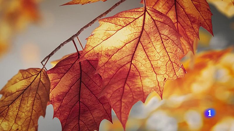 El tiempo en Galicia 12-12-2025 | Ver