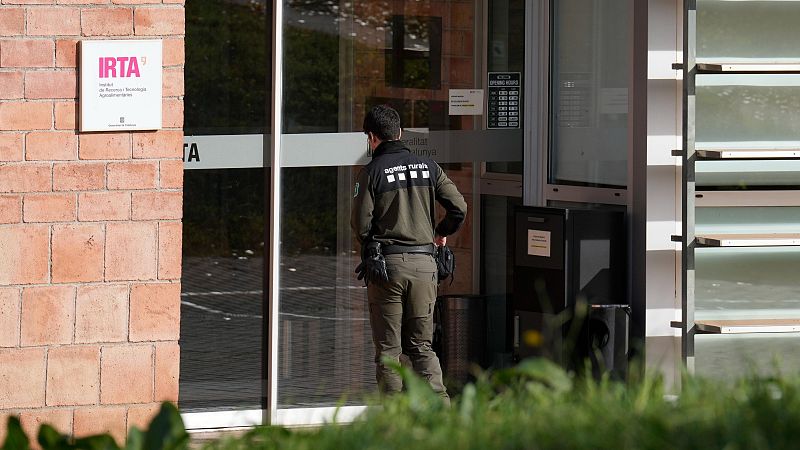 Mossos i Guàrdia Civil registren el laboratori IRTA-CReSA a Bellaterra en relació al brot de pesta porcina
