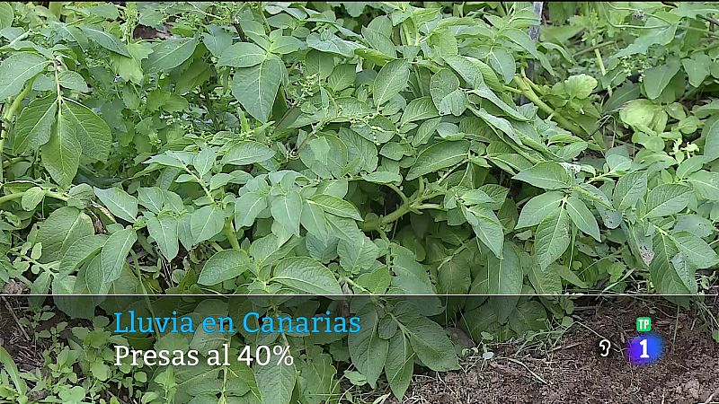 Canarias en 2' - 18/12/2025