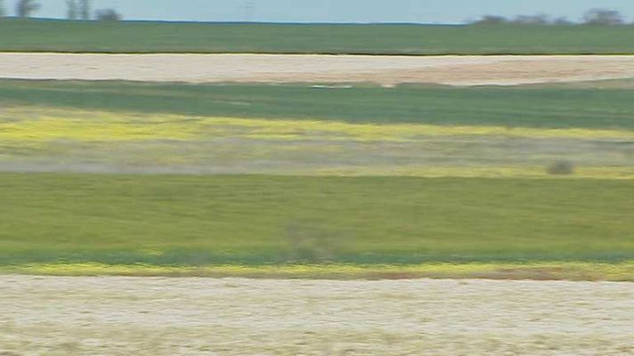 Telediario 1 - Protestas por Eurovegas